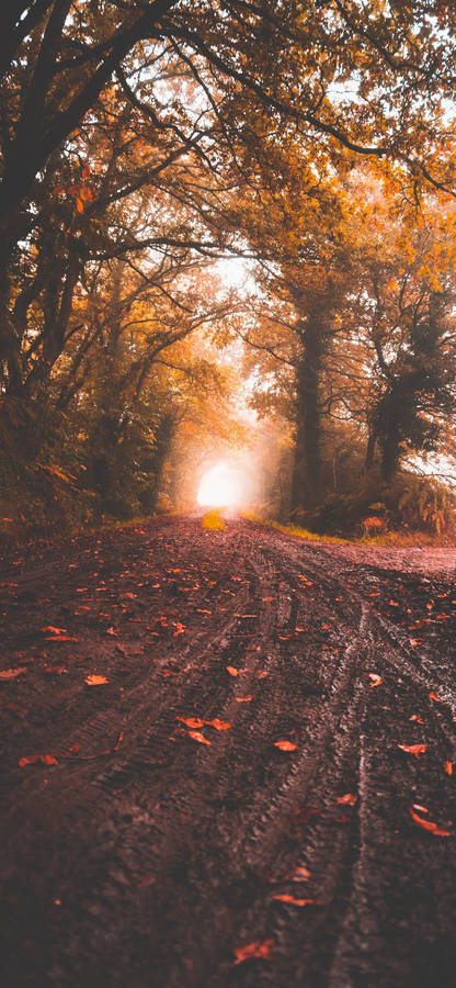 Rocky Road Image For Iphone Se 2020 Wallpaper