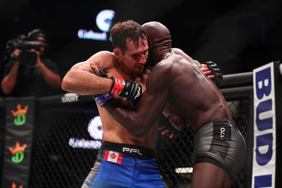 Rory Macdonald Versus Sadibou Sy Wallpaper