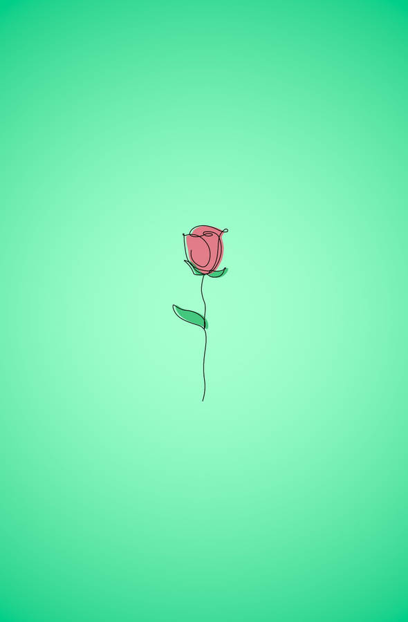 Rose Aesthetic Sketches Wallpaper