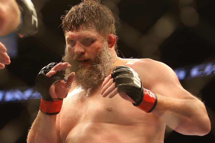 Roy Nelson Against Fabricio Werdum Wallpaper