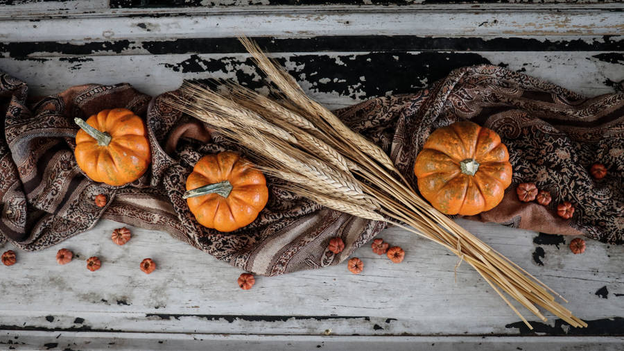 Rustic Fall Pumpkin With Wheat Straws Wallpaper