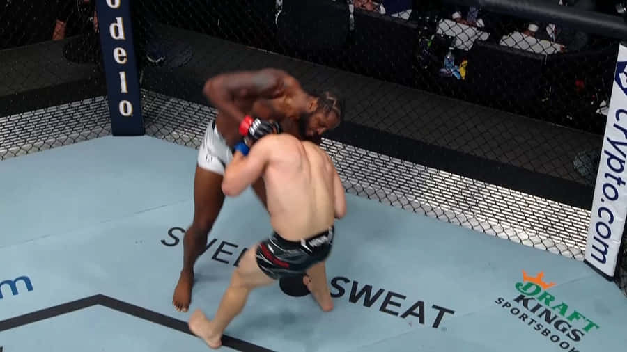 Ryan Spann Top View Wallpaper