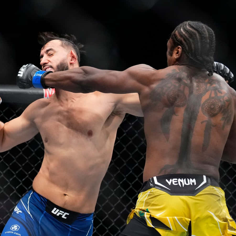 Ryan Spann Versus Dominick Reyes Wallpaper
