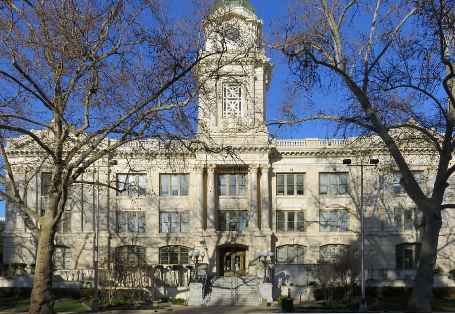 Sacramento City Hall Blocked By Trees Wallpaper