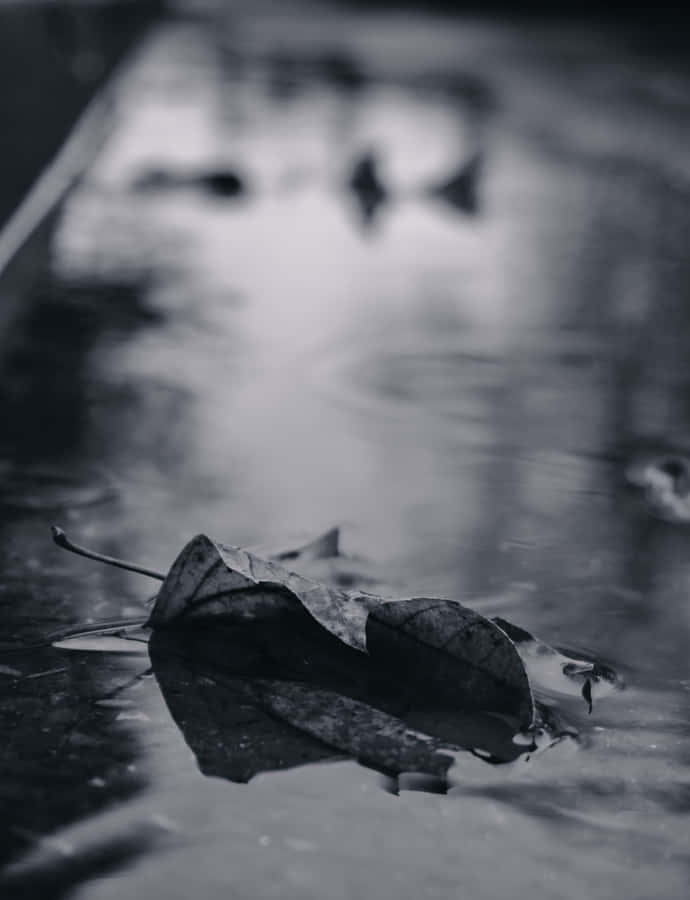 Sad Vibes Leaf Rain Road Wallpaper
