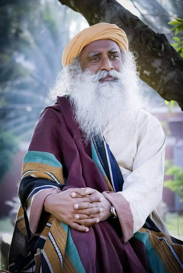 Sadhguru Sitting By A Tree Wallpaper