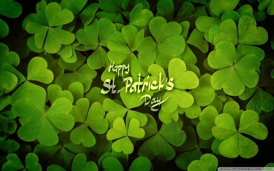 Saint Patrick’s Day Greetings Wallpaper