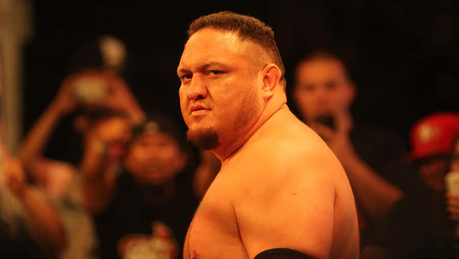 Samoa Joe Wwe Raw Reaction Wallpaper