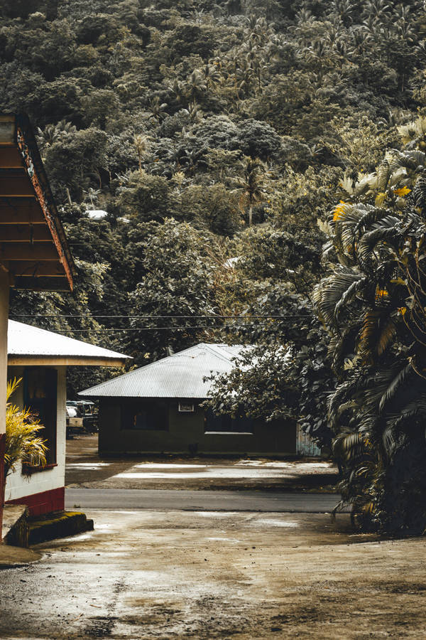 Samoa Village In Pago Pago Wallpaper