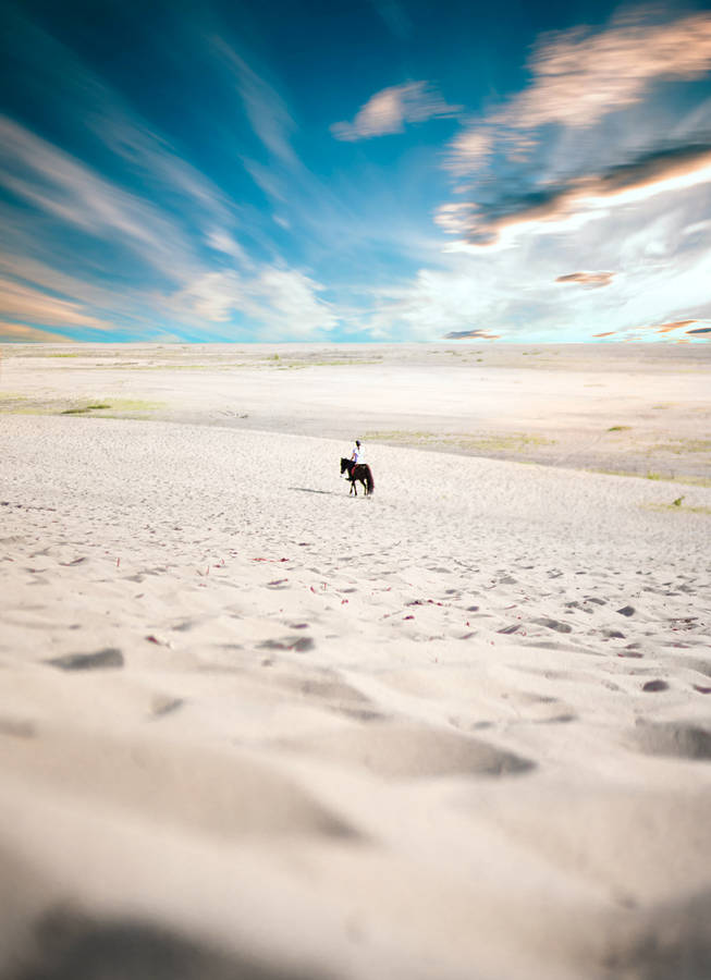 Sandy Horse Iphone Wallpaper