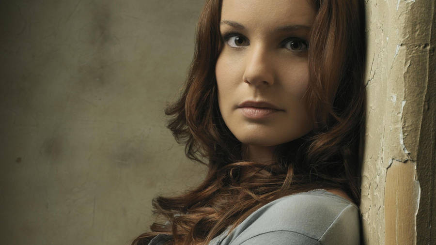 Sarah Wayne Callies Prison Break Wallpaper