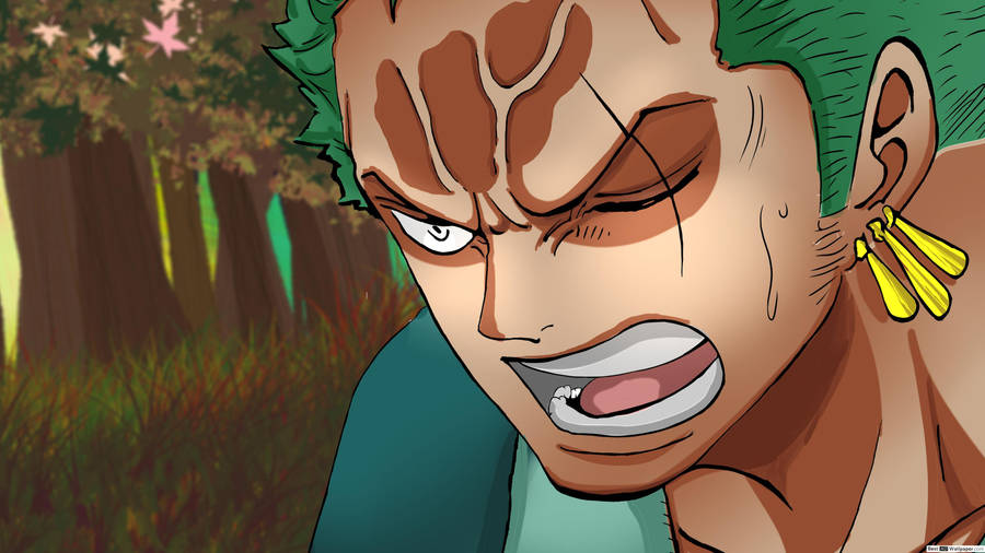 Scarred One Piece Zoro 4k Close Up Wallpaper