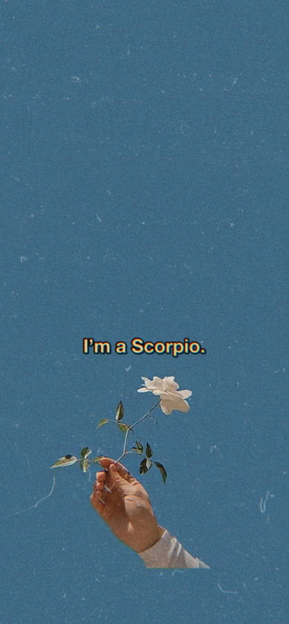 Scorpio Hand Holding Rose Wallpaper