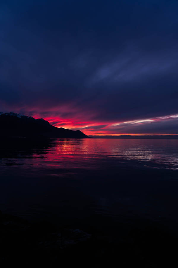 Sea At Golden Hour Wallpaper