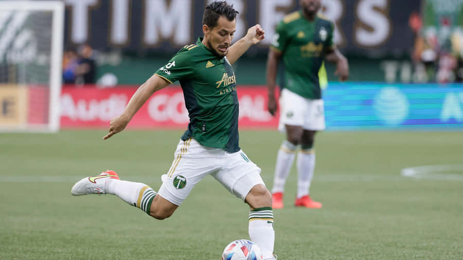 Sebastian Blanco Kicking Stance Wallpaper