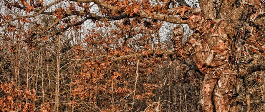 Selective Focus Shot Of A Hunter In Premium Hunting Camouflage Wallpaper