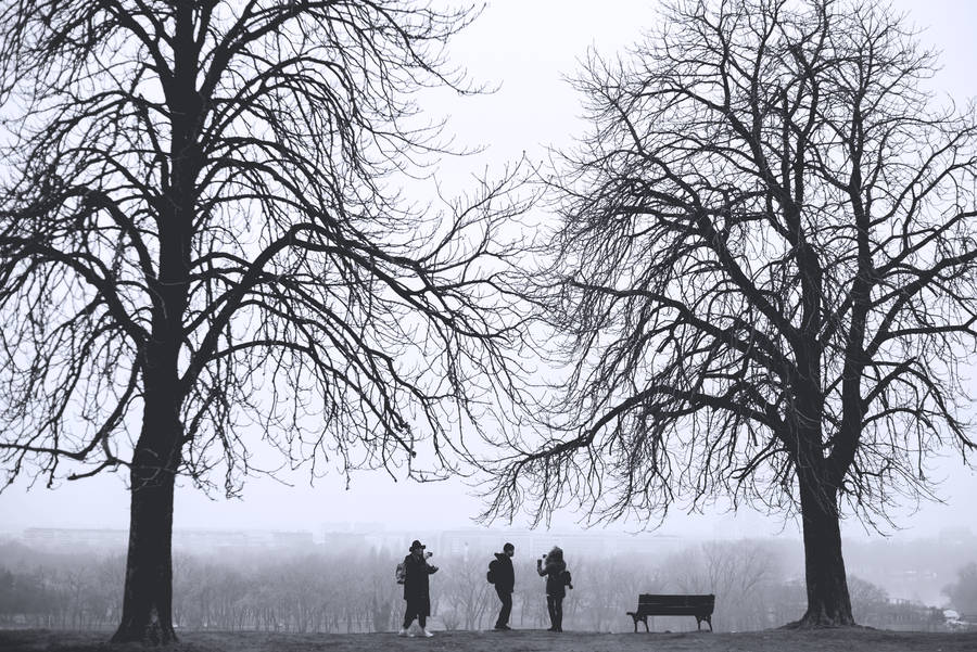 Serbia Winter Season Wallpaper