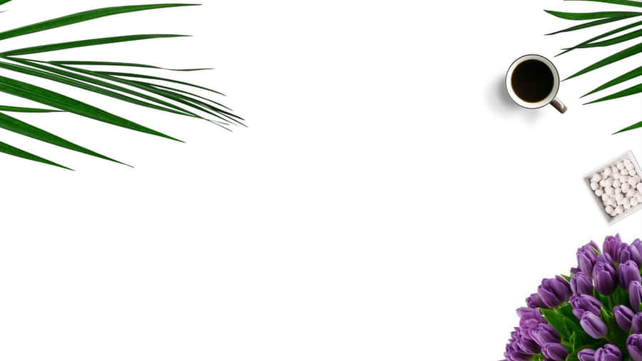 Serenity In Simplicity, Minimalist Plant On Desktop Wallpaper