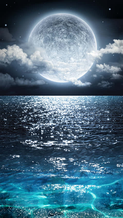 Set Your Screen To The Beauty Of The Ocean 🌊 Wallpaper