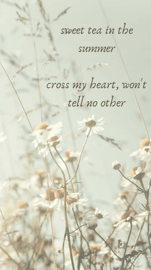 Seven Taylor Swift Lyrics With Daisies Wallpaper