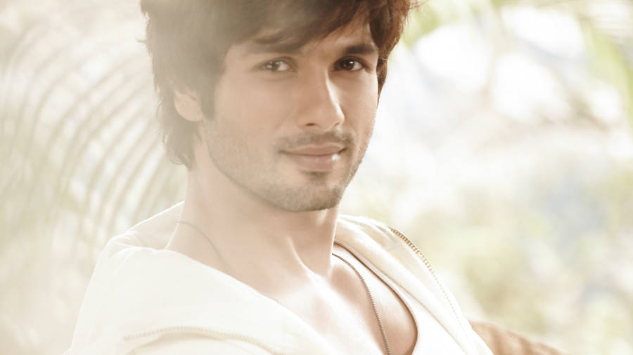 Shahid Kapoor International Actor Wallpaper