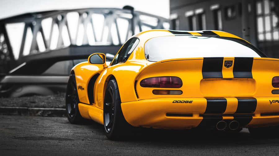 Shimmering In The Sunlight, The Powerful Dodge Viper Wallpaper