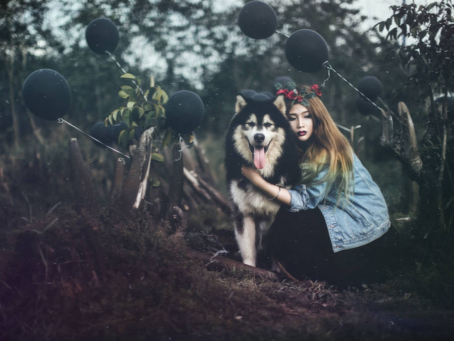 Siberian Husky Dog And Girl Friendship Wallpaper