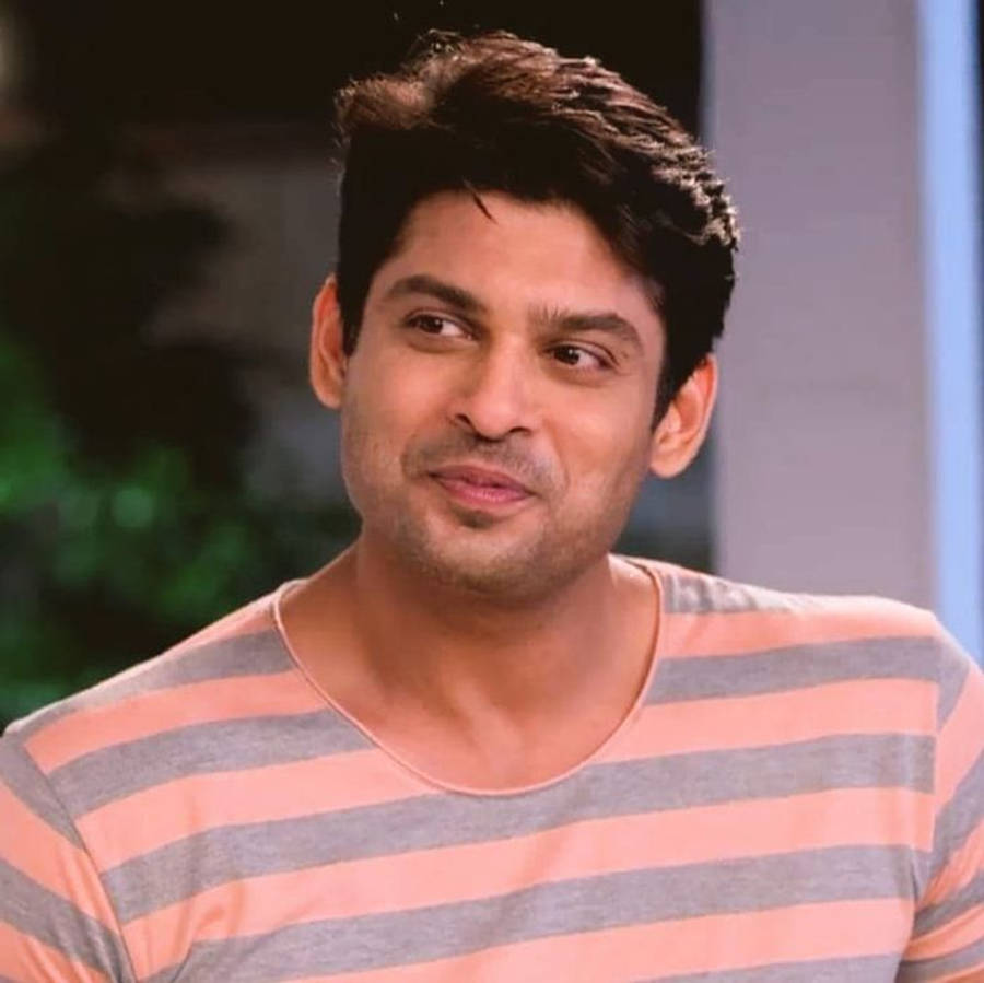 Sidharth Shukla In Stripe Shirt Wallpaper