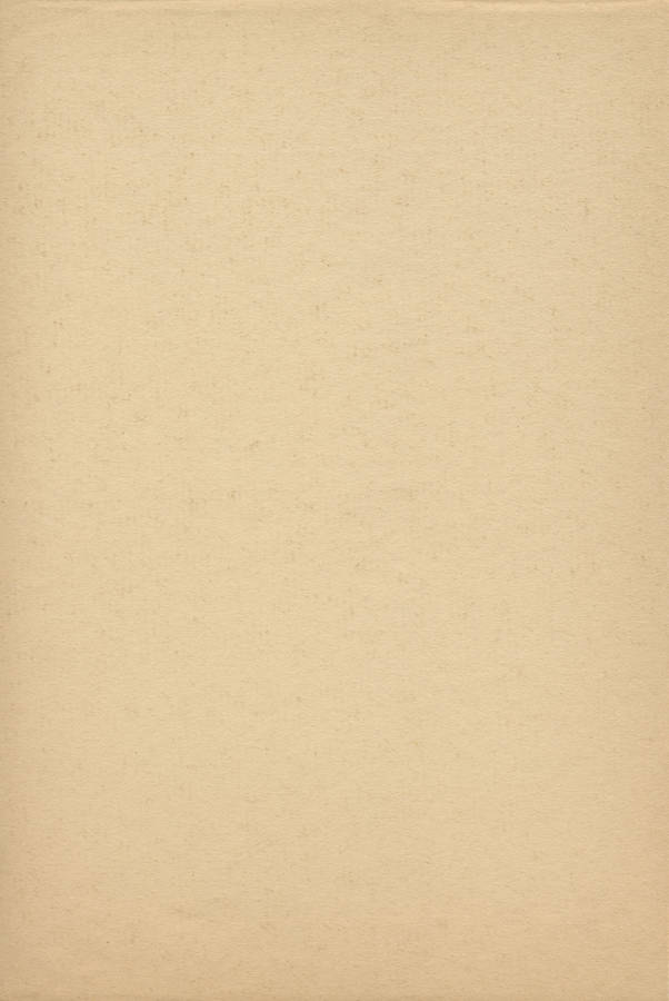 Simple And Plain Beige Wallpaper