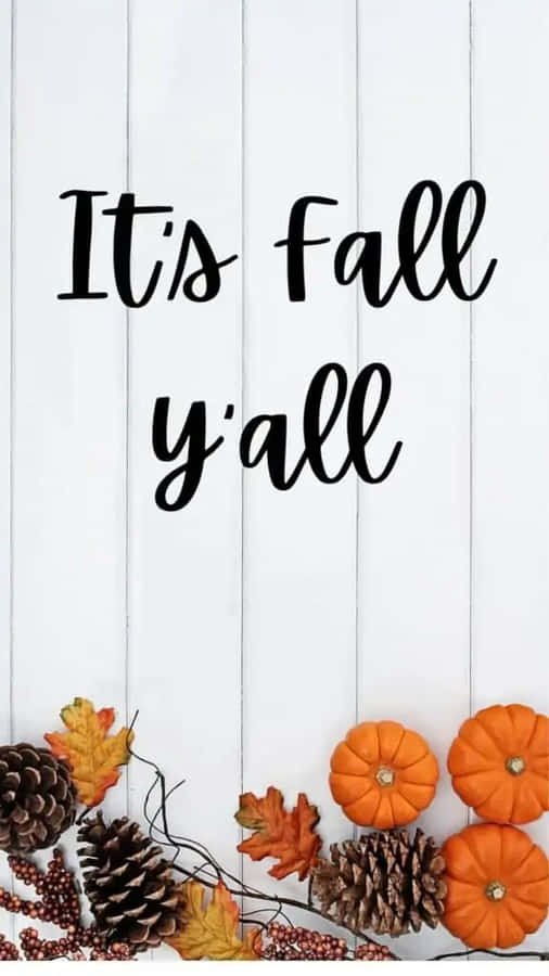Simple Fall Pinecones Pumpkins Wallpaper