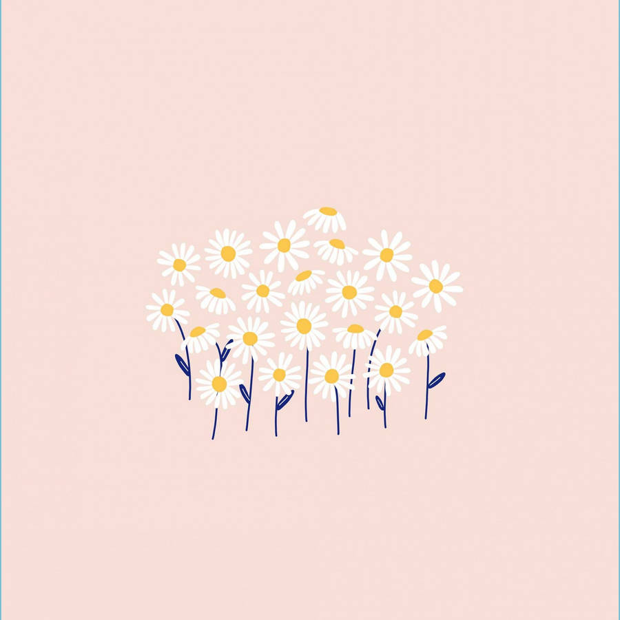 Simple Pink White Daisy Aesthetic Art Wallpaper