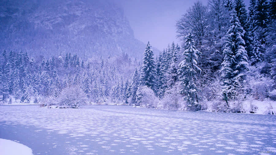 Simple Winter Snow Lake Wallpaper