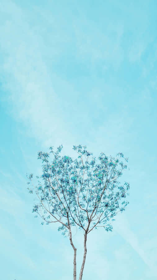 Single Tree Cyan Aesthetic Wallpaper