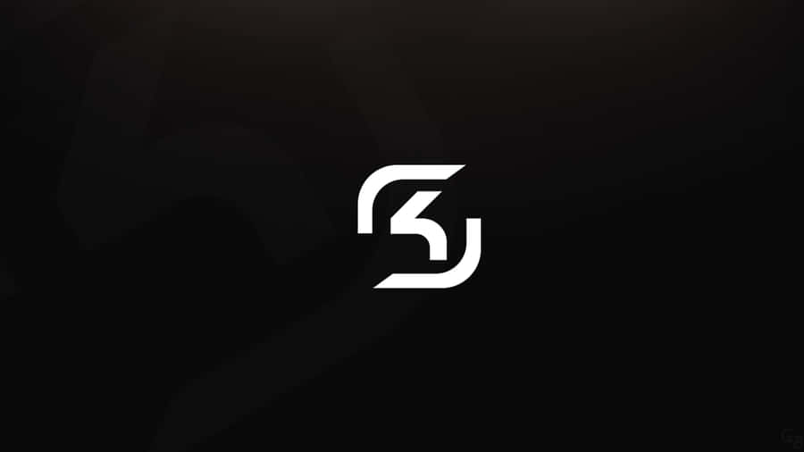 Sk Gaming In Action Wallpaper