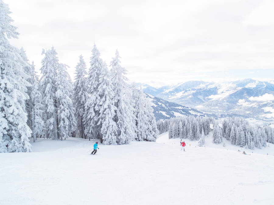 Skiing Evergreen Mountain Wallpaper