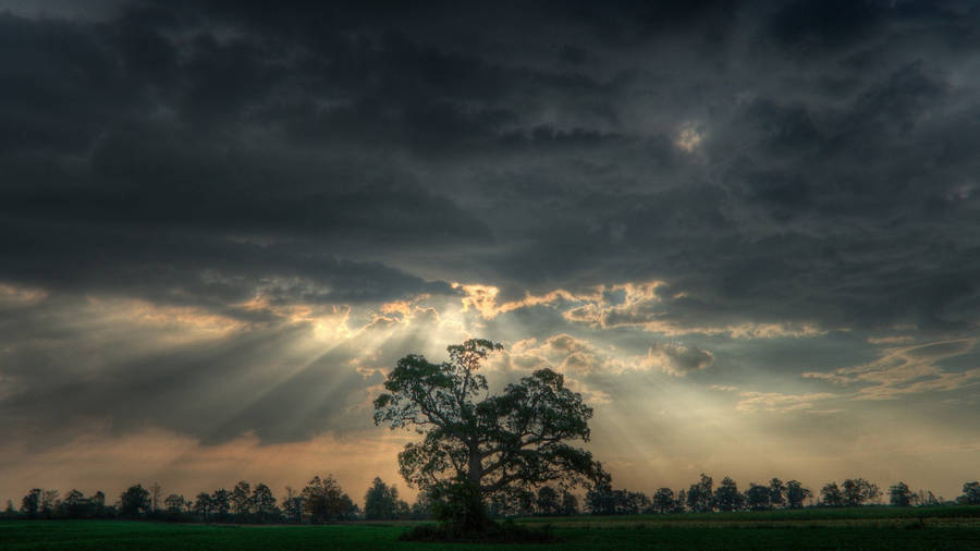 Sky Hd With Sun Rays Wallpaper