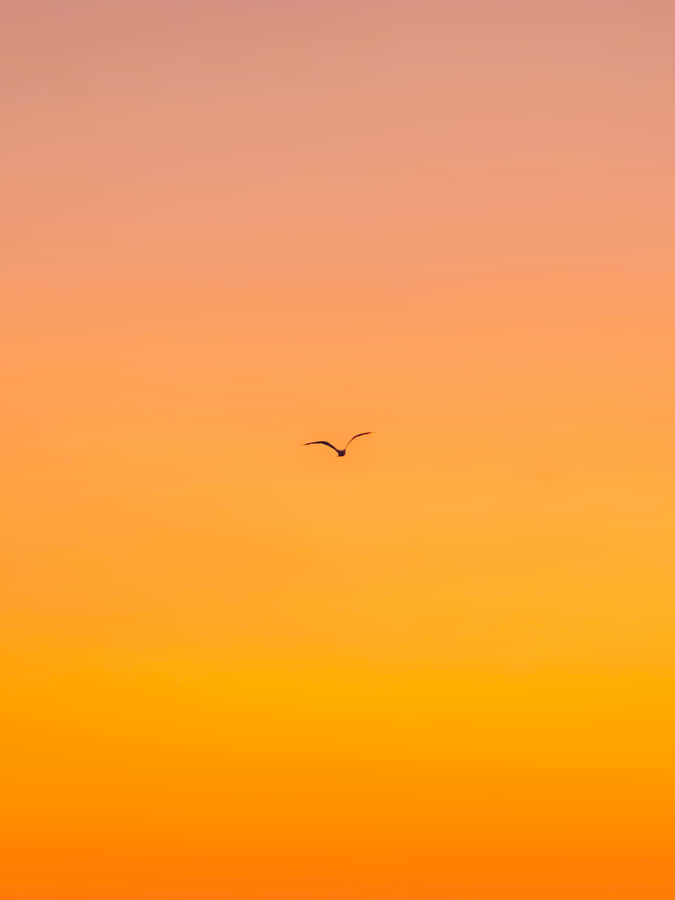 Sky View In Color Orange Iphone Wallpaper