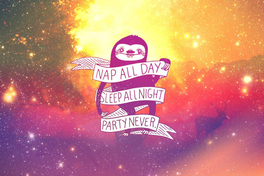 Sloth Statement Quote Wallpaper