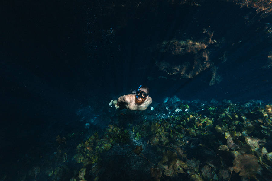 Snorkeling In Dark Waters Wallpaper