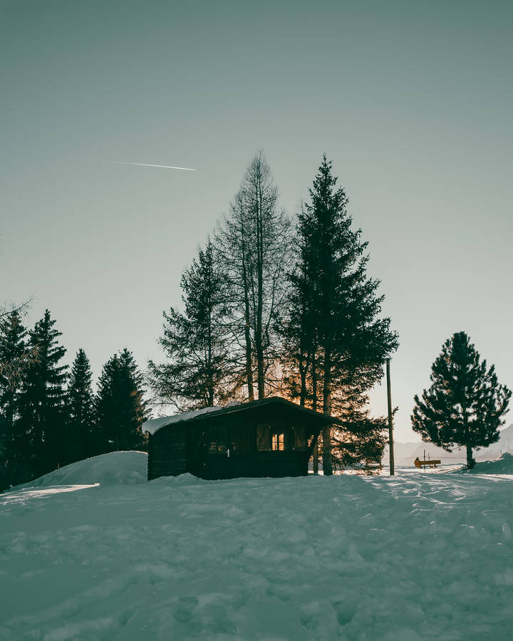 Snowy Area In Montana Iphone Wallpaper