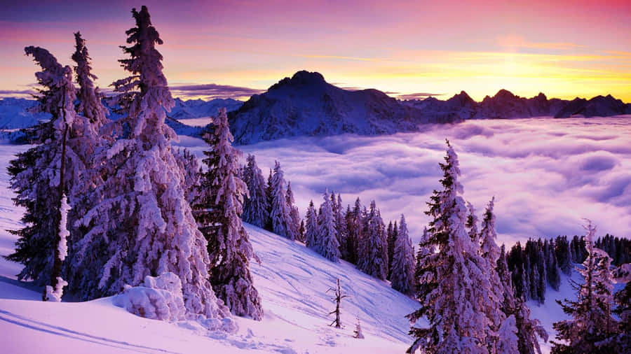 Snowy Mountain Top Above The Cloud Cover Snow 4k Wallpaper