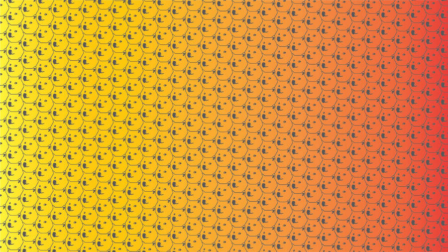 “so Adorable, Much Fun” Wallpaper