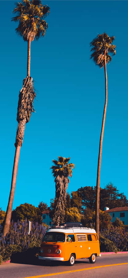 Soaking Up The California Aesthetic In This Sun-filled Paradise. Wallpaper