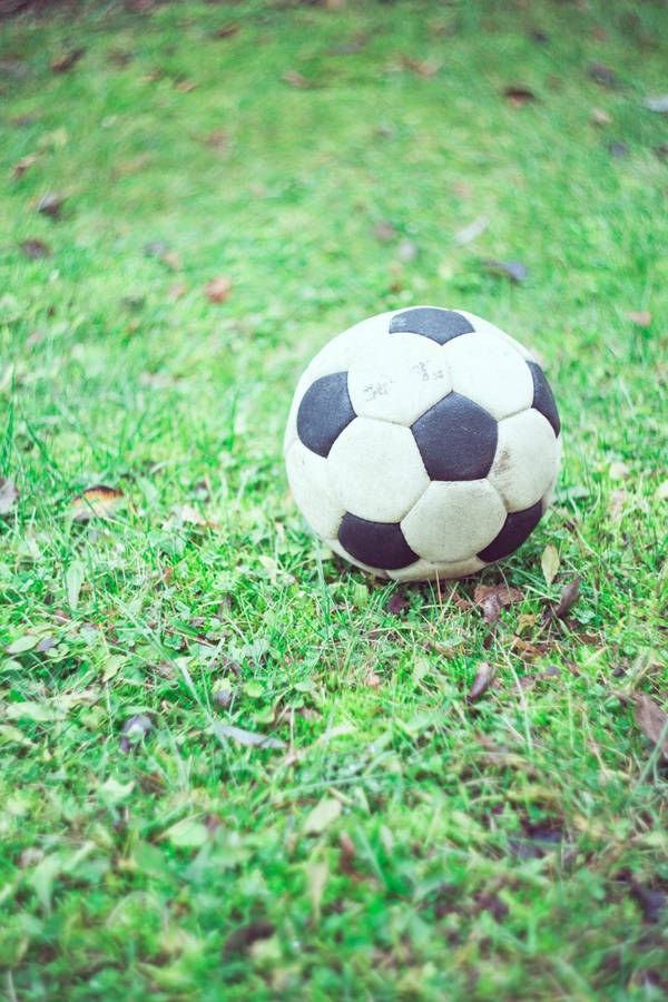Soccer Ball Glistening In The Summer Sun Wallpaper