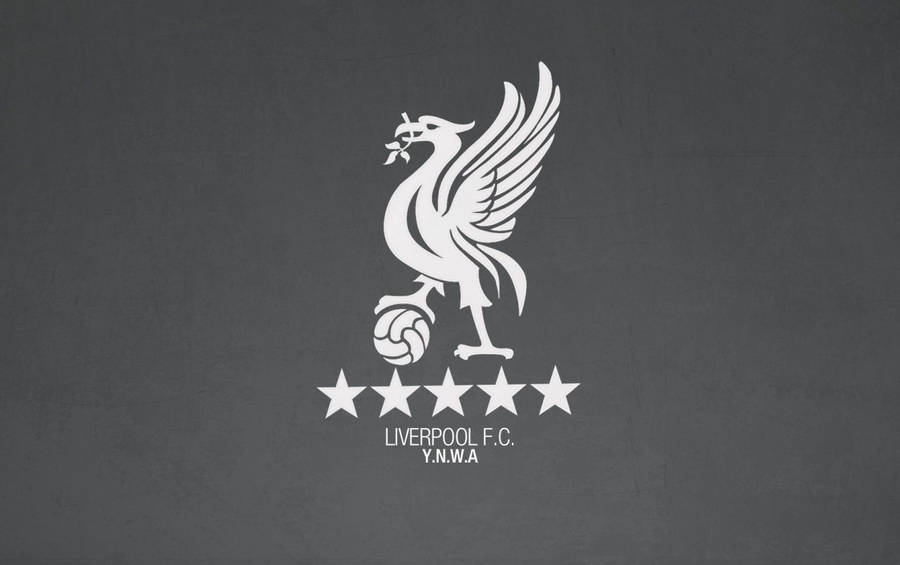 Soccer Passion - Liverpool Fc Wallpaper