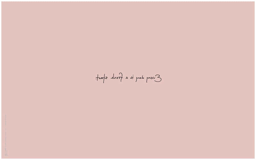 Soft And Feminine Pastel Peach Aesthetic Wallpaper