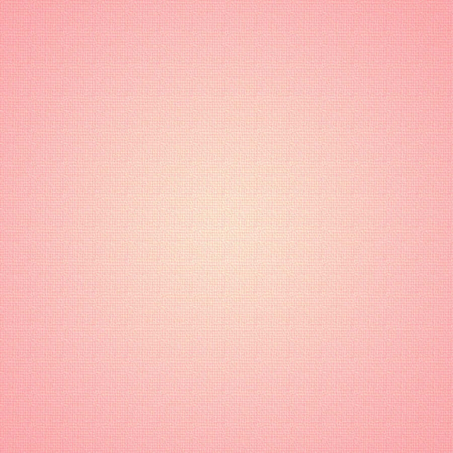 Soft Peachy Blush Wallpaper