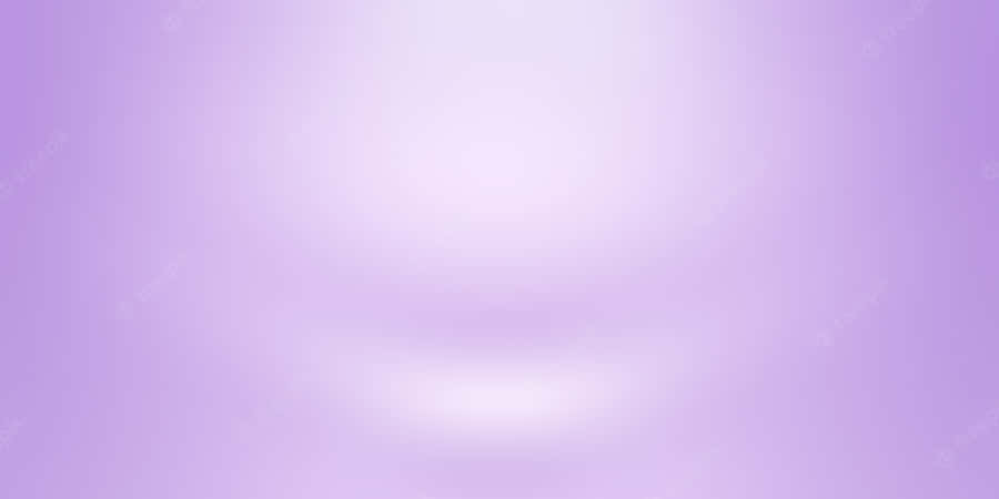 Solid Light Purple – Bold And Luxurious Color Wallpaper