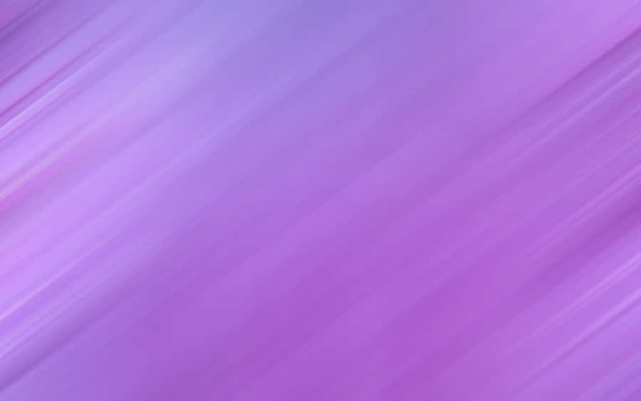 Solid Light Purple Color Background Wallpaper