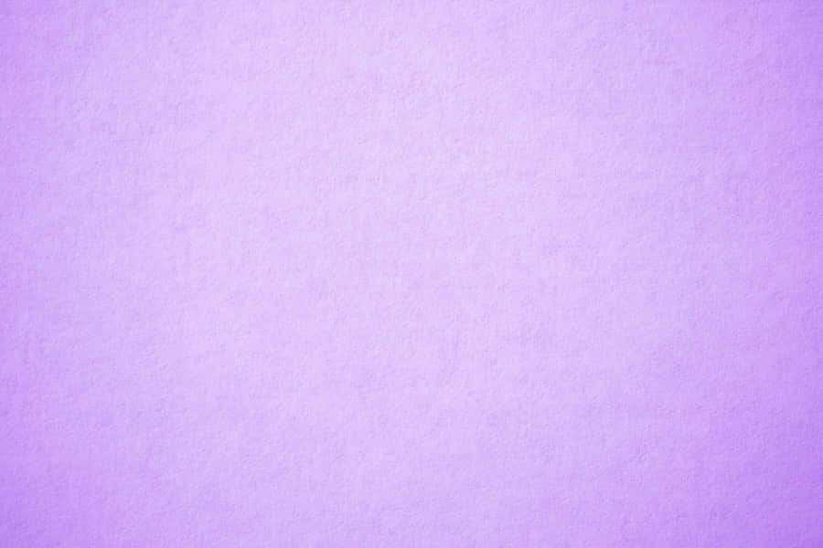 Solid Light Purple Vibes Wallpaper